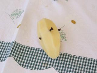 Immagine allegata alla scheda. Per averne una descrizione leggere i dettagli più in basso.